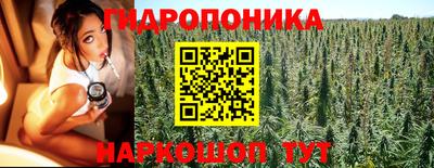 PSILOCYBIN Канаш