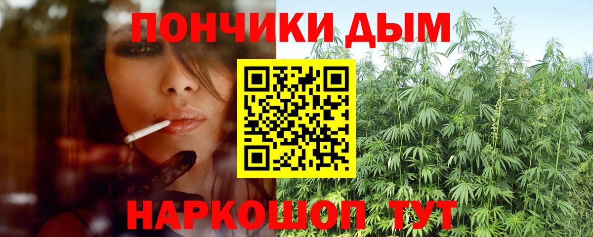 Марихуана сатива Будённовск